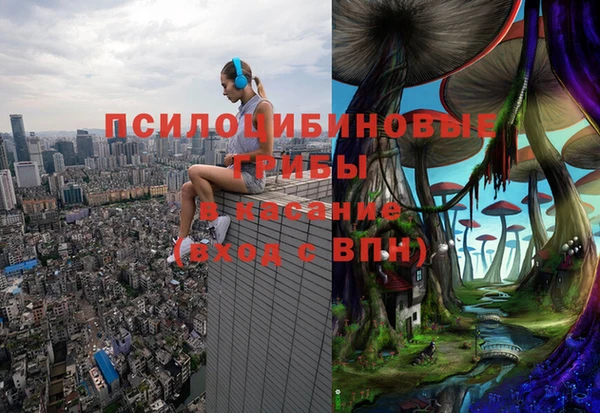 бутират Козловка