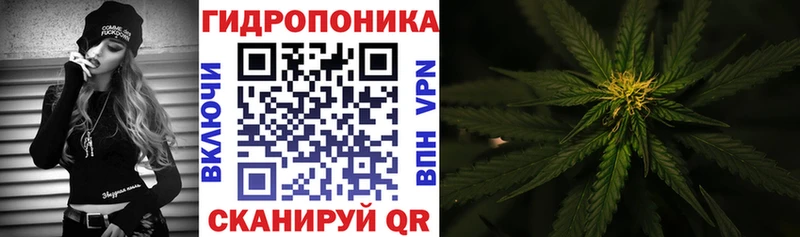 как найти   Новошахтинск  darknet состав  Каннабис SATIVA & INDICA 